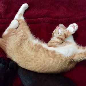 Fundraising Page: Jada Walker